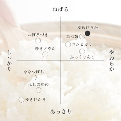 新米 北海道産 ゆめぴりか 15kg (5kg×3袋) 産地限定 白米 令和6年産  米 お米 送料無料 産地直送 オプションで真空パックに変更可
