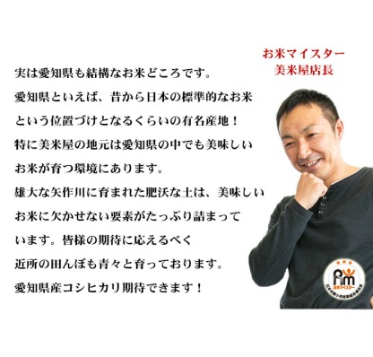新米 米 白米 15kg 送料無料 コシヒカリ 5kg×3袋 愛知県産 令和6年産 コシヒカリ お米 15キロ 安い あす楽 送料無料【沖縄、配送不可】