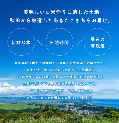 新米予約！【年間ランキング受賞！】【お助け15ｋｇ】令和6年産　あきたこまち 家計お助け米　農家直送便　15ｋｇ（5ｋｇ×3袋） 米びつ当番【天鷹唐辛子】プレゼント付き　【2022年グルメ大賞受賞】