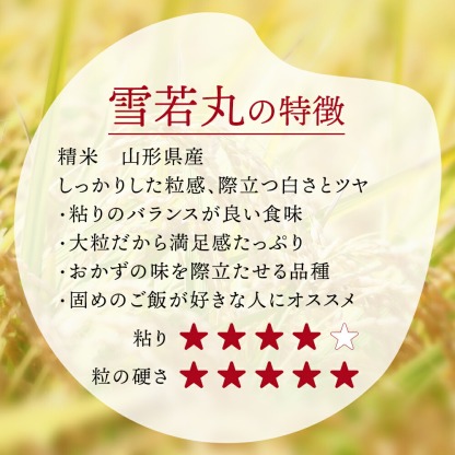 令和6年産 山形県 雪若丸 15kg 精米 お米 コメ 令和6年 山形県産 送料無料 お米 白米 ご飯 新米 単一原料米 15kg(5kg×3袋) コメ 米 15kg
