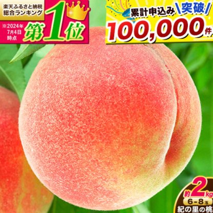 【ふるさと納税】高レビュー 和歌山県産 紀の里の桃 約2kg(6～8玉) 先行予約《2025年6月中旬-8月中旬頃出荷》桃 もも モモ 果物 フルーツ お取り寄せ 和歌山 白鳳 日川白鳳 八旗白鳳 清水白桃 川中島白桃 送料無料 12000円 和歌山県産