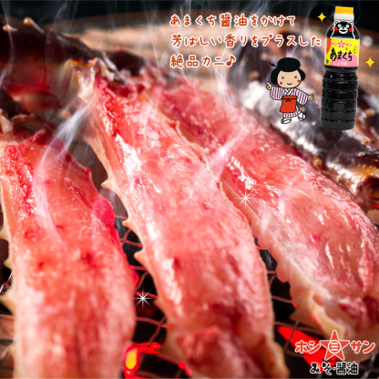 九州醤油セット【送料無料(込み)】≪あまくち醤油 500ml＆万能醤油 にたき一番 360ml≫楽天1位！全国お取り寄せ 人気の甘口醤油セット【保存料不使用】熊本特産 甘口醤油 甘口しょうゆ【醤油】【九州 熊本の老舗醤油屋ホシサン】[TKG] 九州醤油 お試し