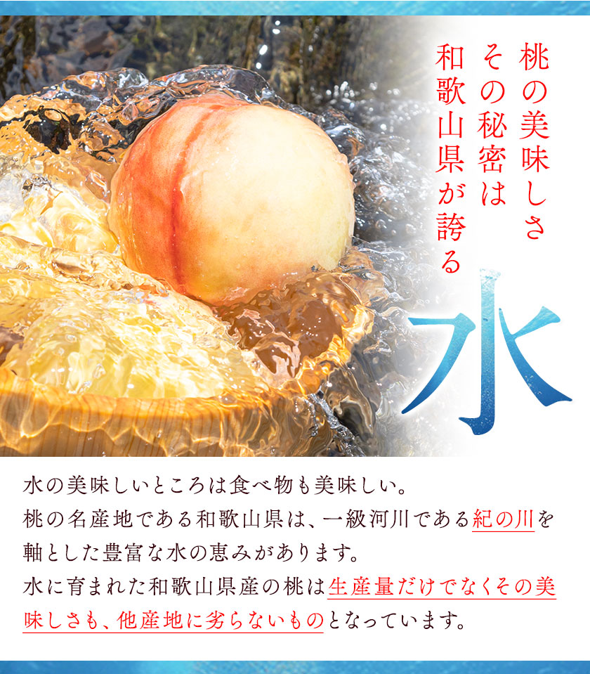 【ふるさと納税】高レビュー 和歌山県産 紀の里の桃 約2kg(6～8玉) 先行予約《2025年6月中旬-8月中旬頃出荷》桃 もも モモ 果物 フルーツ お取り寄せ 和歌山 白鳳 日川白鳳 八旗白鳳 清水白桃 川中島白桃 送料無料 12000円 和歌山県産