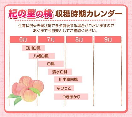 【ふるさと納税】高レビュー 和歌山県産 紀の里の桃 約2kg(6～8玉) 先行予約《2025年6月中旬-8月中旬頃出荷》桃 もも モモ 果物 フルーツ お取り寄せ 和歌山 白鳳 日川白鳳 八旗白鳳 清水白桃 川中島白桃 送料無料 12000円 和歌山県産