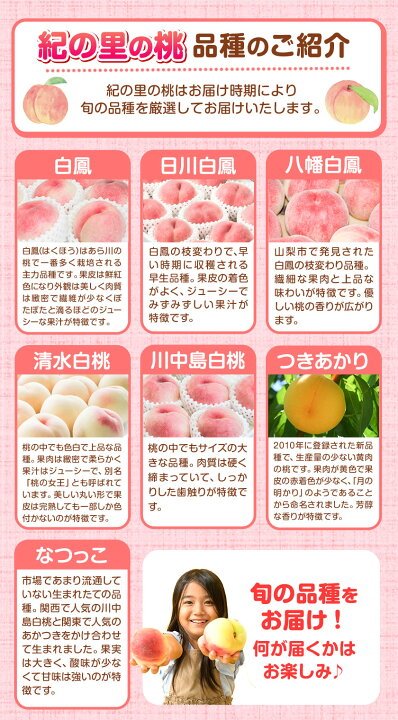 【ふるさと納税】高レビュー 和歌山県産 紀の里の桃 約2kg(6～8玉) 先行予約《2025年6月中旬-8月中旬頃出荷》桃 もも モモ 果物 フルーツ お取り寄せ 和歌山 白鳳 日川白鳳 八旗白鳳 清水白桃 川中島白桃 送料無料 12000円 和歌山県産