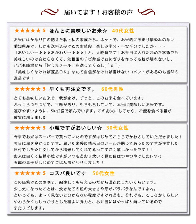 新米 米 白米 15kg 送料無料 コシヒカリ 5kg×3袋 愛知県産 令和6年産 コシヒカリ お米 15キロ 安い あす楽 送料無料【沖縄、配送不可】