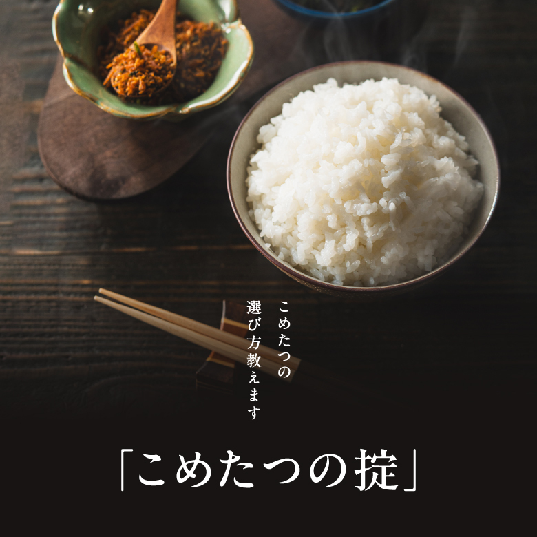 新米 予約 米 白米 無洗米 玄米 30kg 送料無料 ヒノヒカリ 熊本県産 令和6年産 ひのひかり 米30キロ 送料無料 玄米 30kg 送料無料 お米 30kg 送料無料 お米 30kg こめたつ 備蓄米 非常用 米30キロ