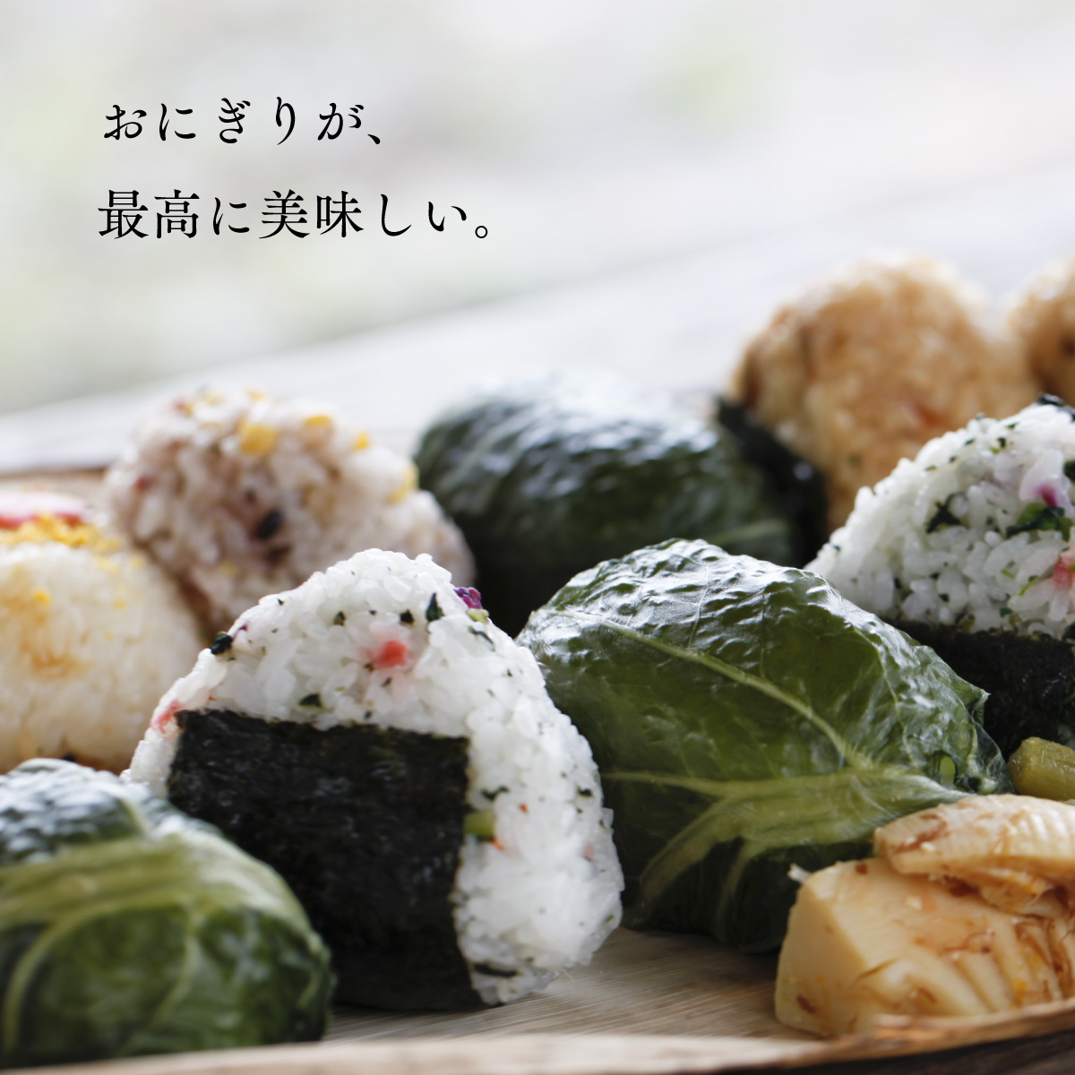 新米 北海道産 ゆめぴりか 15kg (5kg×3袋) 産地限定 白米 令和6年産  米 お米 送料無料 産地直送 オプションで真空パックに変更可