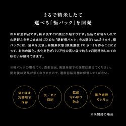 新米 予約 米 白米 無洗米 玄米 30kg 送料無料 ヒノヒカリ 熊本県産 令和6年産 ひのひかり 米30キロ 送料無料 玄米 30kg 送料無料 お米 30kg 送料無料 お米 30kg こめたつ 備蓄米 非常用 米30キロ