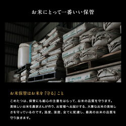 新米 予約 米 白米 無洗米 玄米 30kg 送料無料 ヒノヒカリ 熊本県産 令和6年産 ひのひかり 米30キロ 送料無料 玄米 30kg 送料無料 お米 30kg 送料無料 お米 30kg こめたつ 備蓄米 非常用 米30キロ