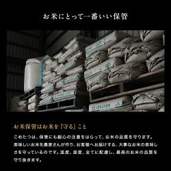 新米 予約 米 白米 無洗米 玄米 30kg 送料無料 ヒノヒカリ 熊本県産 令和6年産 ひのひかり 米30キロ 送料無料 玄米 30kg 送料無料 お米 30kg 送料無料 お米 30kg こめたつ 備蓄米 非常用 米30キロ