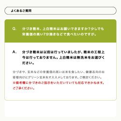 新米 予約 米 白米 無洗米 玄米 30kg 送料無料 ヒノヒカリ 熊本県産 令和6年産 ひのひかり 米30キロ 送料無料 玄米 30kg 送料無料 お米 30kg 送料無料 お米 30kg こめたつ 備蓄米 非常用 米30キロ