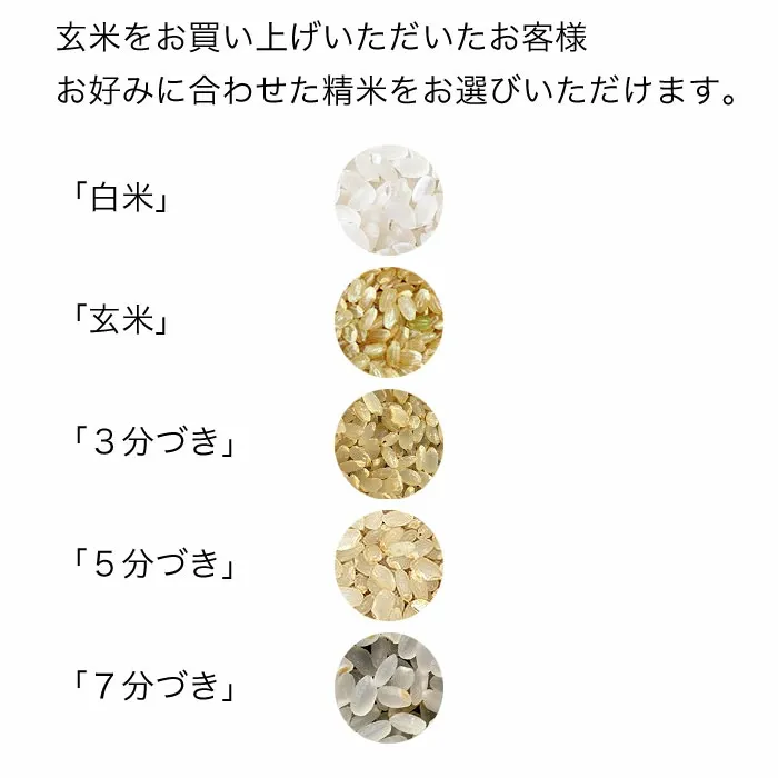 令和7年産 北海道産 ななつぼし 玄米 10kg (5kg×2袋セット) ＜玄米／白米／分づき米＞