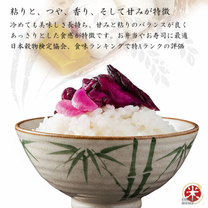 令和7年産 北海道産 ななつぼし 玄米 10kg (5kg×2袋セット) ＜玄米／白米／分づき米＞