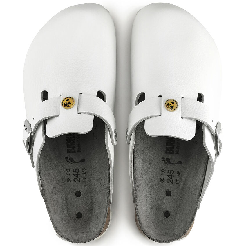 Boston ESD / ボストン ESD