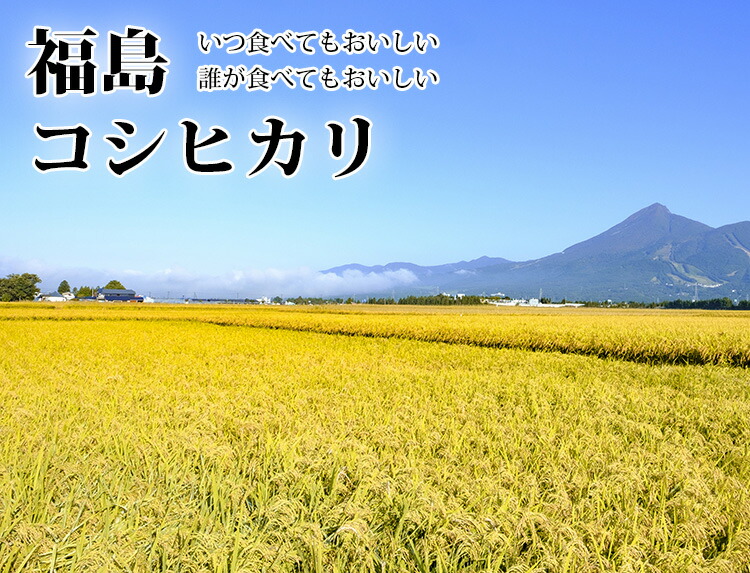 福島のこしひかり