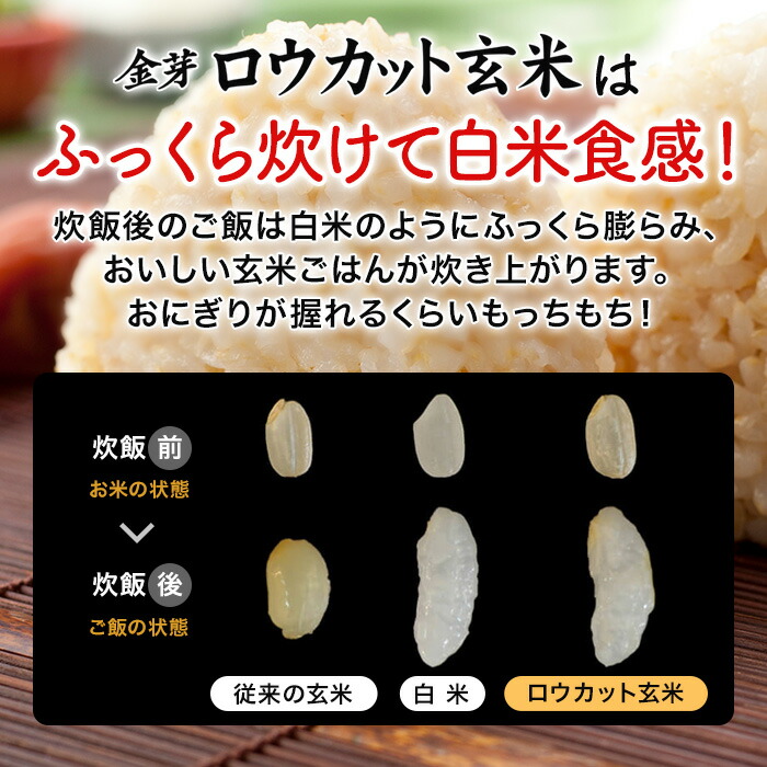 ふっくら炊けて白米食感