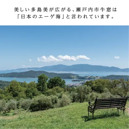 【ふるさと納税】オリーブオイル 有機栽培 エキストラバージン オリーブ オイル ブレンド 2本 セット オーガニック 調味料 油 オリーブ油 食用油 ギフト 　お届け：入金確認後、約2週間～1ヶ月でお届けします。