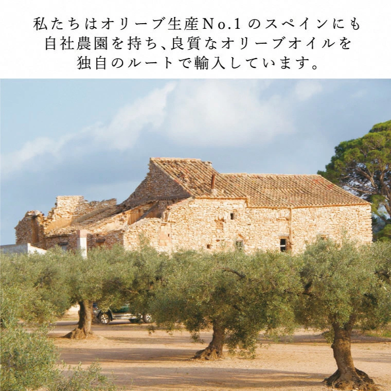 【ふるさと納税】オリーブオイル 有機栽培 エキストラバージン オリーブ オイル ブレンド 2本 セット オーガニック 調味料 油 オリーブ油 食用油 ギフト 　お届け：入金確認後、約2週間～1ヶ月でお届けします。