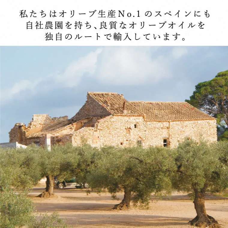 【ふるさと納税】オリーブオイル 有機栽培 エキストラバージン オリーブ オイル ブレンド 2本 セット オーガニック 調味料 油 オリーブ油 食用油 ギフト 　お届け：入金確認後、約2週間～1ヶ月でお届けします。