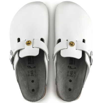 Boston ESD / ボストン ESD