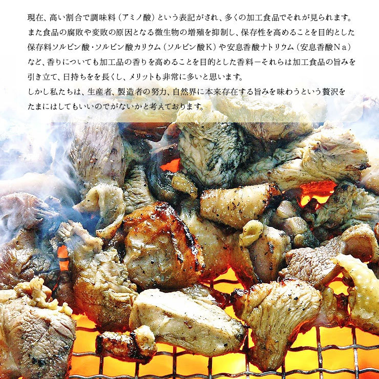 sale セール 半額 50%OFF 100g×6 肉 おつまみ 鳥の炭火焼き(炭火焼/鶏の炭火焼き/焼鳥/炭火焼き鳥) お肉 訳あり おかず 宮崎 レトルト 非常食 保存食 防災食 備蓄 食料 食べ物 食品 防災グッズ 鶏肉 肉 缶詰 お取り寄せグルメ 珍味 送料無料 在庫処分 フードロス