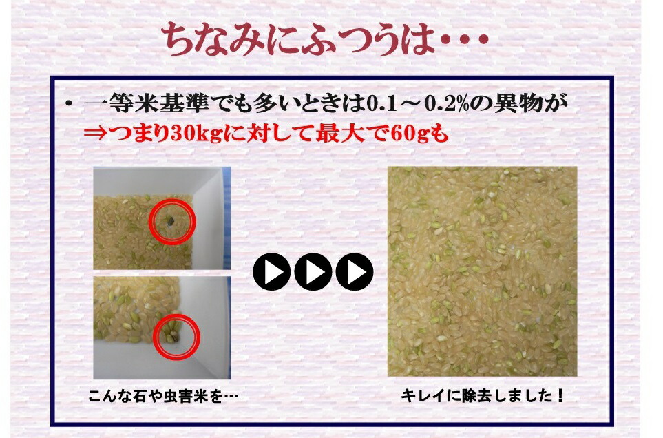 キラッと玄米画像02