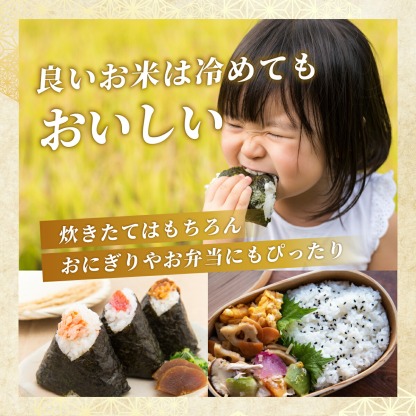 【ふるさと納税】最短3-5営業日発送★単一米★総合1位獲得★選べる発送月★特A評価15年連続 7年産 定期便 佐賀県産米 さがびより 令和 先行予約 米 お米 精米 白米 ブランド米 【選べる容量】5kg 10kg 15kg 20kg 佐賀県産 数量限定