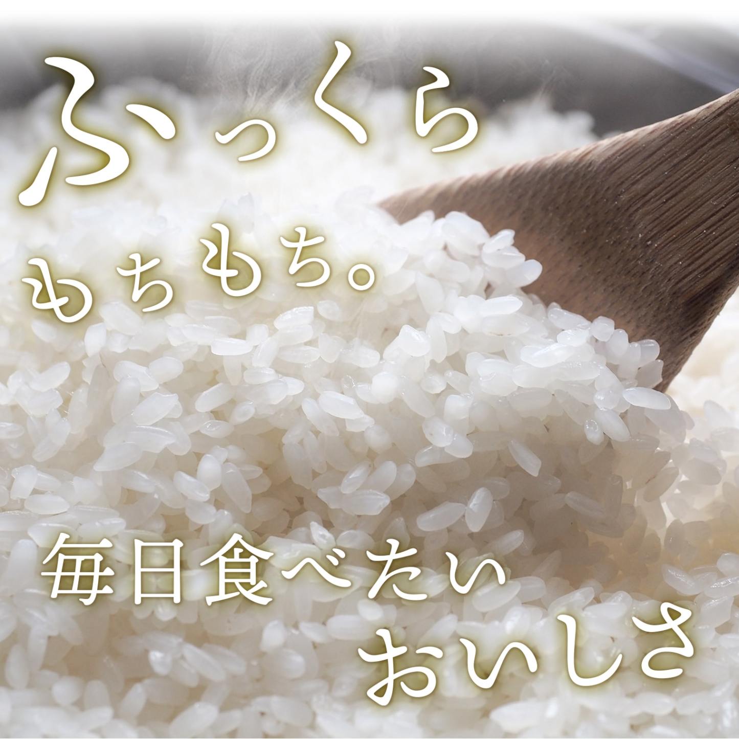 【ふるさと納税】米 定期便 ! 期間限定!! 寄附額改定!! ＜最短2日後発送＞or＜選べる配送時期＞【令和7年産】茨城県産 お米 2種 4種 食べくらべ 5kg 10kg 20kg 3kg 12kg 30kg 精米 小分け 即納 送料無料 コシヒカリ ランキング 1位 2025年産 ブランド米 3回 3ヶ月