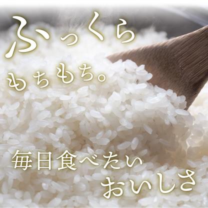 【ふるさと納税】米 定期便 ! 期間限定!! 寄附額改定!! ＜最短2日後発送＞or＜選べる配送時期＞【令和7年産】茨城県産 お米 2種 4種 食べくらべ 5kg 10kg 20kg 3kg 12kg 30kg 精米 小分け 即納 送料無料 コシヒカリ ランキング 1位 2025年産 ブランド米 3回 3ヶ月