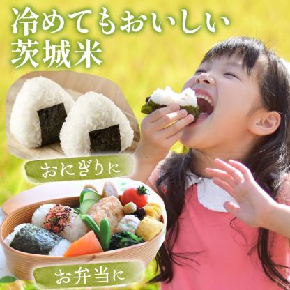 【ふるさと納税】米 定期便 ! 期間限定!! 寄附額改定!! ＜最短2日後発送＞or＜選べる配送時期＞【令和7年産】茨城県産 お米 2種 4種 食べくらべ 5kg 10kg 20kg 3kg 12kg 30kg 精米 小分け 即納 送料無料 コシヒカリ ランキング 1位 2025年産 ブランド米 3回 3ヶ月