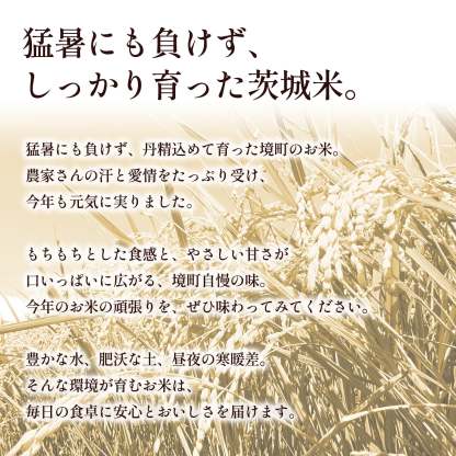 【ふるさと納税】米 定期便 ! 期間限定!! 寄附額改定!! ＜最短2日後発送＞or＜選べる配送時期＞【令和7年産】茨城県産 お米 2種 4種 食べくらべ 5kg 10kg 20kg 3kg 12kg 30kg 精米 小分け 即納 送料無料 コシヒカリ ランキング 1位 2025年産 ブランド米 3回 3ヶ月