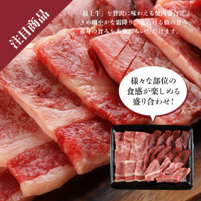 令和7年産 はえぬき 10kg 5kg×2袋 お米 白米 山形県産 送料無料