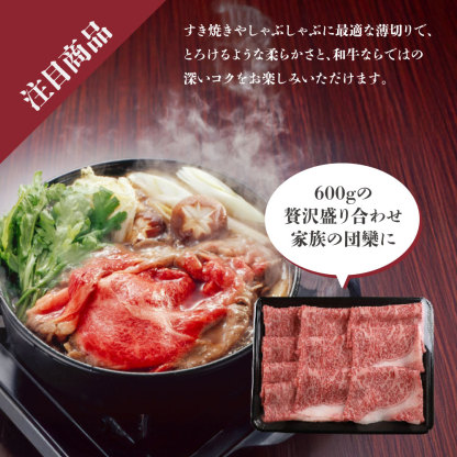 令和7年産 はえぬき 10kg 5kg×2袋 お米 白米 山形県産 送料無料