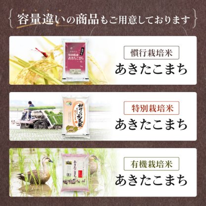 令和7年産 秋田県産 あきたこまち 10kg 白米 精米 お米【送料無料】