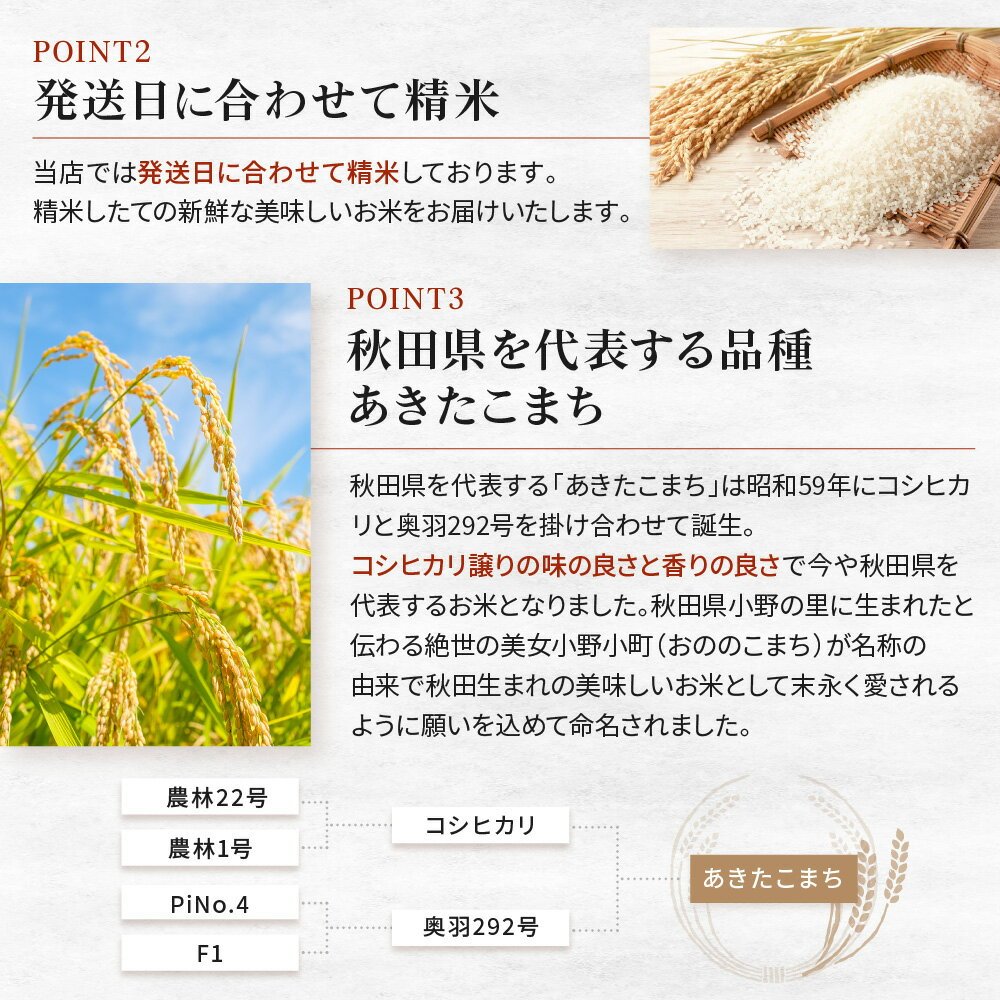 令和7年産 秋田県産 あきたこまち 10kg 白米 精米 お米【送料無料】