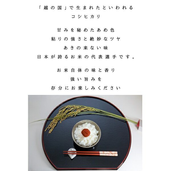 楽天SOY2025大賞受賞記念特価 福島県産コシヒカリ 10kg(5kg×2袋) 20kg(5kg×4袋) 30kg(5kg×6袋) 令和7年産 送料無料 白米 10kg 白米 20kg 白米 30kg 米 お米