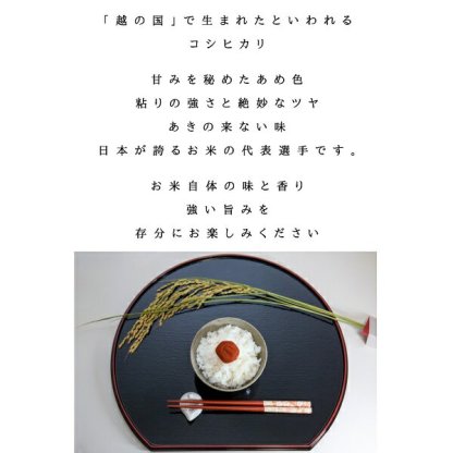 楽天SOY2025大賞受賞記念特価 福島県産コシヒカリ 10kg(5kg×2袋) 20kg(5kg×4袋) 30kg(5kg×6袋) 令和7年産 送料無料 白米 10kg 白米 20kg 白米 30kg 米 お米