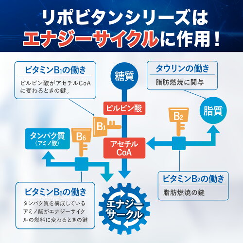 【公式】リポビタンD バレンタイン 限定ボトル 大正製薬 100mL×50本 栄養ドリンク タウリン ビタミンB群 期間限定 数量限定 通販限定 リポビタン 指定医薬部外品