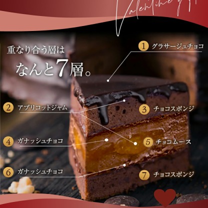 バレンタイン チョコ 2026 送料無料 ザッハトルテ 熊 ケーキ かわいい くま ケーキ チョコレート ケーキ 4号 5号 高級 おしゃれ バレンタインチョコ ケーキ ギフト お菓子 もりん 可愛い 濃厚 チョコケーキ ホールケーキ 子供 大人 バレンタインデー お取り寄せ ケーキ