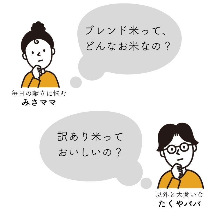 物価高対策★300円クーポン ! 米 10kg 送料無料 白米 訳あり米 【産直のお米】 5kg×2袋セット 令和7年 新米入 低温精米 生活応援 家計応援 安い米 10キロ お米 10kg 送料無料 産地直送 備蓄用 業務用 複数原料 国産 ブレンド米(