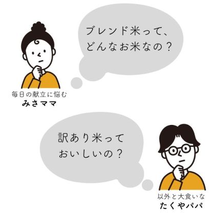 物価高対策★300円クーポン ! 米 10kg 送料無料 白米 訳あり米 【産直のお米】 5kg×2袋セット 令和7年 新米入 低温精米 生活応援 家計応援 安い米 10キロ お米 10kg 送料無料 産地直送 備蓄用 業務用 複数原料 国産 ブレンド米(