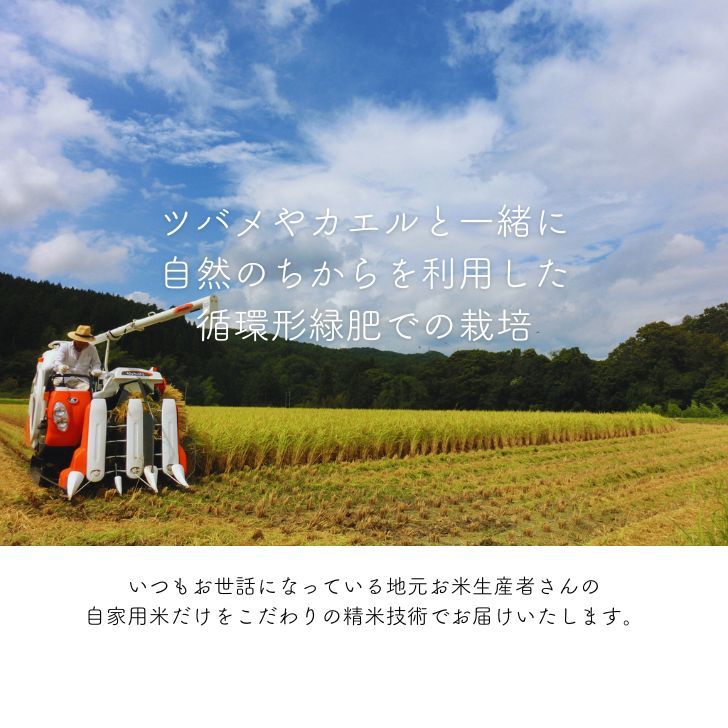 物価高対策★300円クーポン ! 米 10kg 送料無料 白米 訳あり米 【産直のお米】 5kg×2袋セット 令和7年 新米入 低温精米 生活応援 家計応援 安い米 10キロ お米 10kg 送料無料 産地直送 備蓄用 業務用 複数原料 国産 ブレンド米(