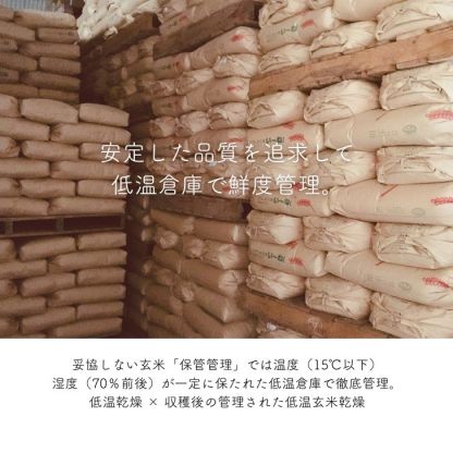 物価高対策★300円クーポン ! 米 10kg 送料無料 白米 訳あり米 【産直のお米】 5kg×2袋セット 令和7年 新米入 低温精米 生活応援 家計応援 安い米 10キロ お米 10kg 送料無料 産地直送 備蓄用 業務用 複数原料 国産 ブレンド米(
