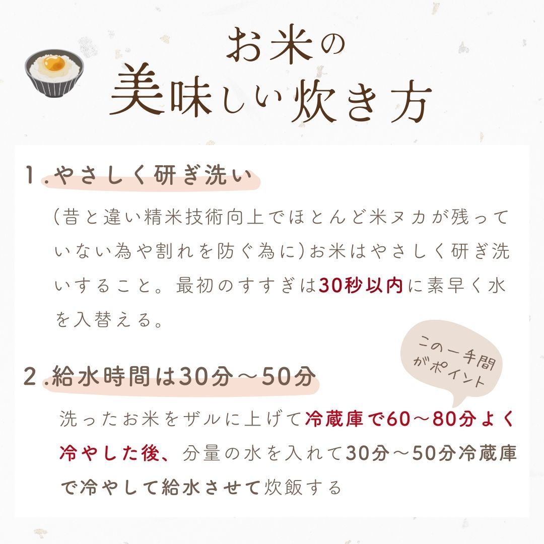 物価高対策★300円クーポン ! 米 10kg 送料無料 白米 訳あり米 【産直のお米】 5kg×2袋セット 令和7年 新米入 低温精米 生活応援 家計応援 安い米 10キロ お米 10kg 送料無料 産地直送 備蓄用 業務用 複数原料 国産 ブレンド米(