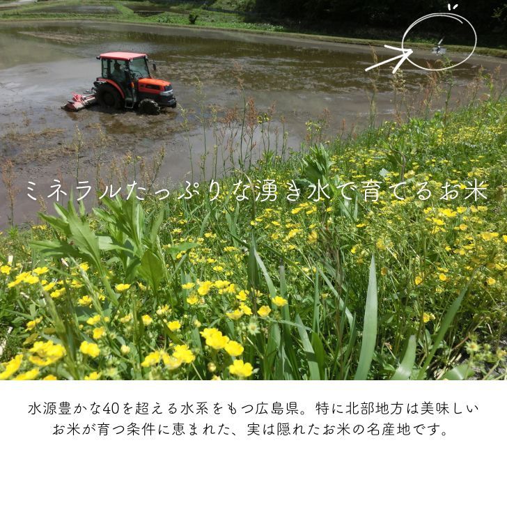 物価高対策★300円クーポン ! 米 10kg 送料無料 白米 訳あり米 【産直のお米】 5kg×2袋セット 令和7年 新米入 低温精米 生活応援 家計応援 安い米 10キロ お米 10kg 送料無料 産地直送 備蓄用 業務用 複数原料 国産 ブレンド米(