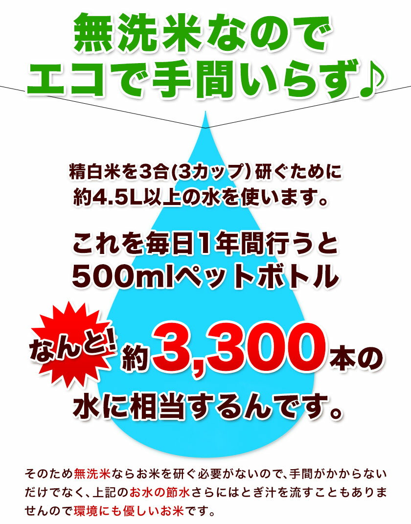 【ふるさと納税】総合１位! 高レビュー 選べる発送時期 選べる出荷時期 2年定期登場 熊本ふるさと無洗米 5kg 10kg 20kg 訳あり 米 コメ こめ 熊本県産 米 ふるさと納税 わけあり 以上のお米ならこれ お米 おこめ 熊本 むせんまい kome musennmai 定期便