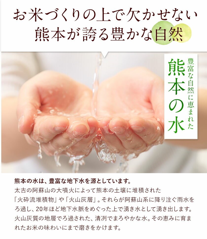 【ふるさと納税】総合１位! 高レビュー 選べる発送時期 選べる出荷時期 2年定期登場 熊本ふるさと無洗米 5kg 10kg 20kg 訳あり 米 コメ こめ 熊本県産 米 ふるさと納税 わけあり 以上のお米ならこれ お米 おこめ 熊本 むせんまい kome musennmai 定期便