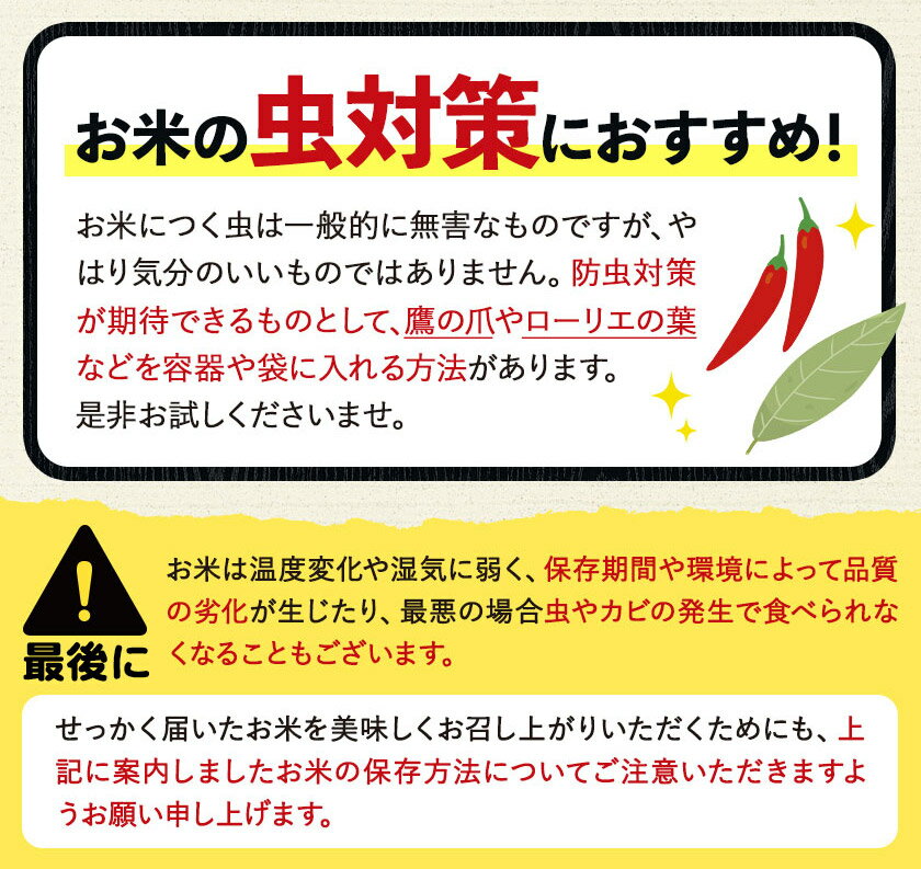 【ふるさと納税】総合１位! 高レビュー 選べる発送時期 選べる出荷時期 2年定期登場 熊本ふるさと無洗米 5kg 10kg 20kg 訳あり 米 コメ こめ 熊本県産 米 ふるさと納税 わけあり 以上のお米ならこれ お米 おこめ 熊本 むせんまい kome musennmai 定期便
