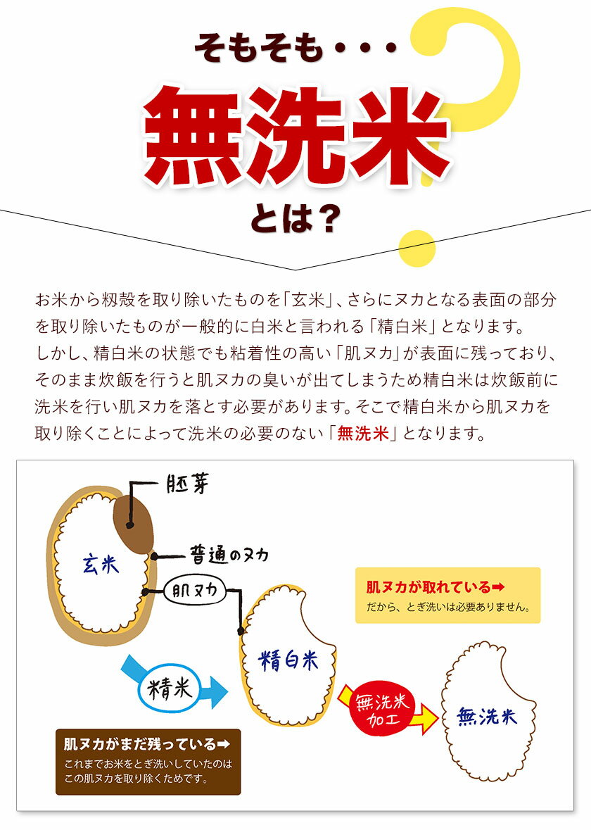 【ふるさと納税】総合１位! 高レビュー 選べる発送時期 選べる出荷時期 2年定期登場 熊本ふるさと無洗米 5kg 10kg 20kg 訳あり 米 コメ こめ 熊本県産 米 ふるさと納税 わけあり 以上のお米ならこれ お米 おこめ 熊本 むせんまい kome musennmai 定期便